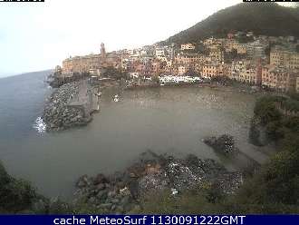 Webcam Nervi