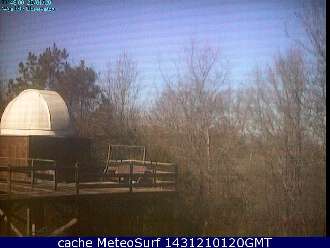 Webcam Peach Orchard