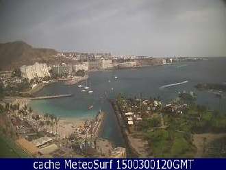 Webcam Patalavaca