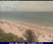 Webcam Pino Grove Isla Verde